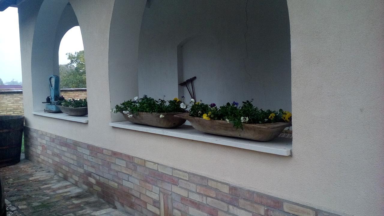 Resort La Tulipe Noire Ceglédbercel Εξωτερικό φωτογραφία