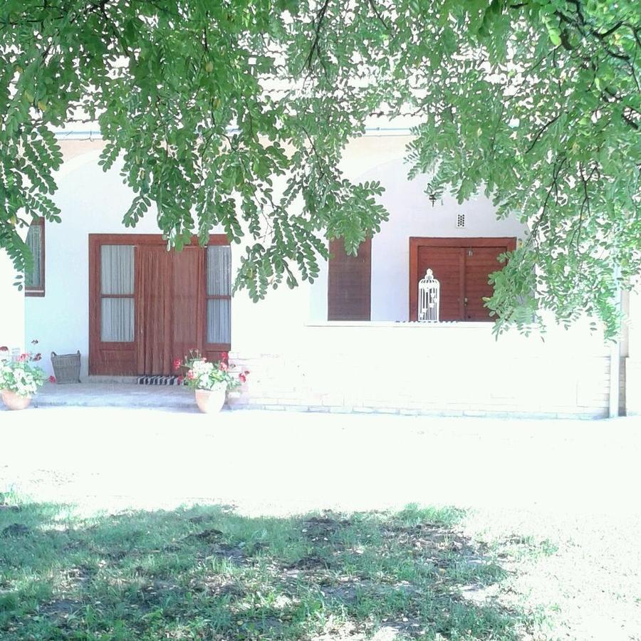 Resort La Tulipe Noire Ceglédbercel Εξωτερικό φωτογραφία